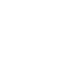 masami wit